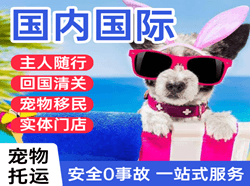 瑷珲机场物流国际宠物托运 【国